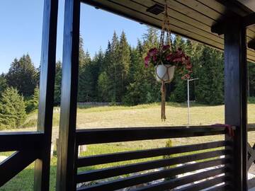 Фото Фермерские дома Pensiunea Maria-Bucovina г. Ватра Молдовицей 1
